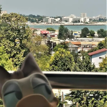 Sophia Maria Apartament Mangalia *